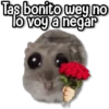 Rata Triste🐀🥲 19