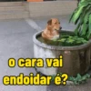 calor do djabo 🥵🌞 15