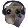 Rata triste Hámster Memes 🐭🐹 19