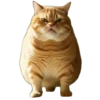 Gatitos gorditos💞1🇵🇪Clásica 26