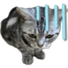Silver tigrer 🐱 29