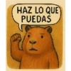 HAZ LO QUE PUEDAS