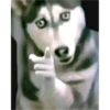 tiktok stickers pt.2 27