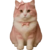 Gatitos gorditos💞1🇵🇪Clásica 29