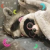 Animalitos para la noche 🌚🌙 28