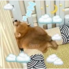 Animalitos para la noche 🌚🌙 29