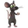 rata triste 😶‍🌫️ rata tímida 💖 18