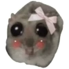 Rata triste Hámster Memes 🐭🐹 20