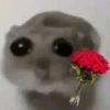 🐀 Rata Triste 🐀🐀 Meme 🐀 21