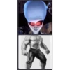 Discord Brainrot memes 16