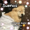 Animalitos para la noche 🌚🌙 30