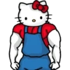 Gym Fit Hello Kitty 16