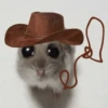 🐀 Rata Triste 🐀🐀 Meme 🐀 24