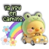 Ya voy en caming Pers
