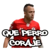 Toluca FC momazos 3