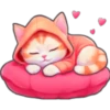 Gatos con capucha 😻 5