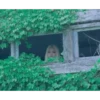 Loona the World 3 5