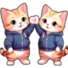 Gatos con capucha 😻 6