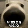 Los cuadrados que necesitas 🔳 4