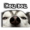 Perritos Husky 🐺💬 6