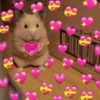 💞💖 AMOR 6 💖💞 6