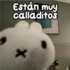 Están muy calladitos Persy X