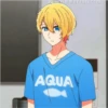 Aquamarine Hoshino Pack 16 6
