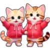 Gatos con capucha 😻 8