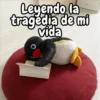 Pingu de peluche 🐧🐧 7