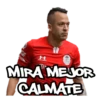 Toluca FC momazos 4