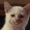 Thai Meme Sticker V2 10