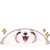 Linda Mascota💞1🇵🇪Clásica 6