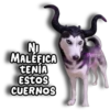 Perritos Husky 🐺💬 8