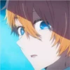 Aquamarine Hoshino Pack 12 8