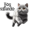 Gatito gris 🐈‍⬛🩶 6