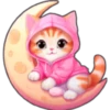Gatos con capucha 😻 11