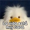 Persy La vida está muy cara