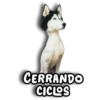 Perritos Husky 🐺💬 10