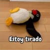 Pingu de peluche 🐧🐧 9