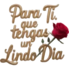 COQUETA 9
