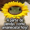 Memes de Animales🪴⭐ 8
