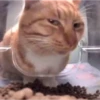 Thai Meme Sticker V2 14