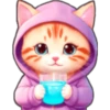 Gatos con capucha 😻 12