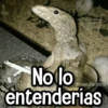 Memes de Animales🪴⭐ 9