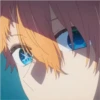 Aquamarine Hoshino Pack 12 11