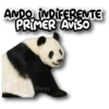 Panda B&W🖤🐼🤍 8