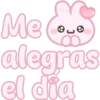 Conejito pink 🐰🩷 13