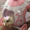 Persy