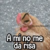 Memes de Animales🪴⭐ 11