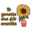 Te ganaste una flör amarilla Hersy